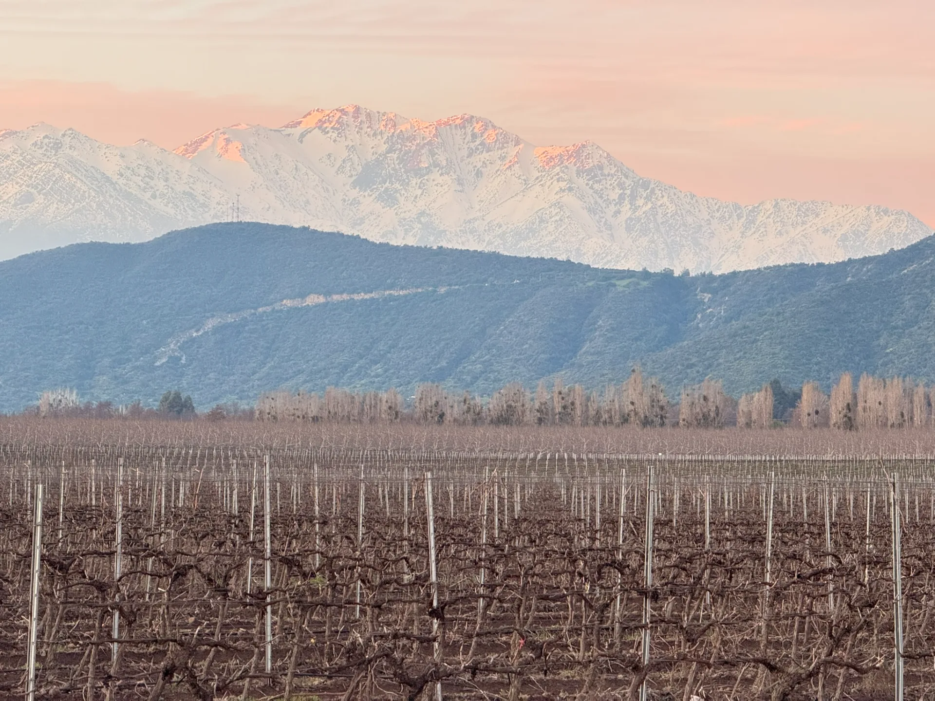 Best Wine Tours in Maipo Valley: A Practical Guide