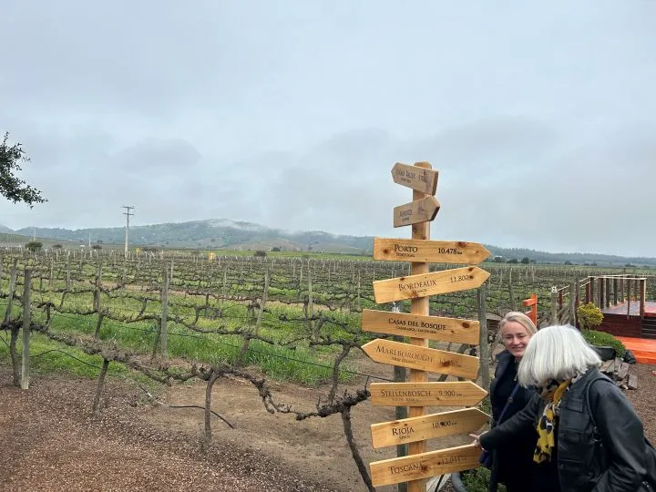 Casablanca Valley: Inside Chile's Cool-Climate White Wine Region