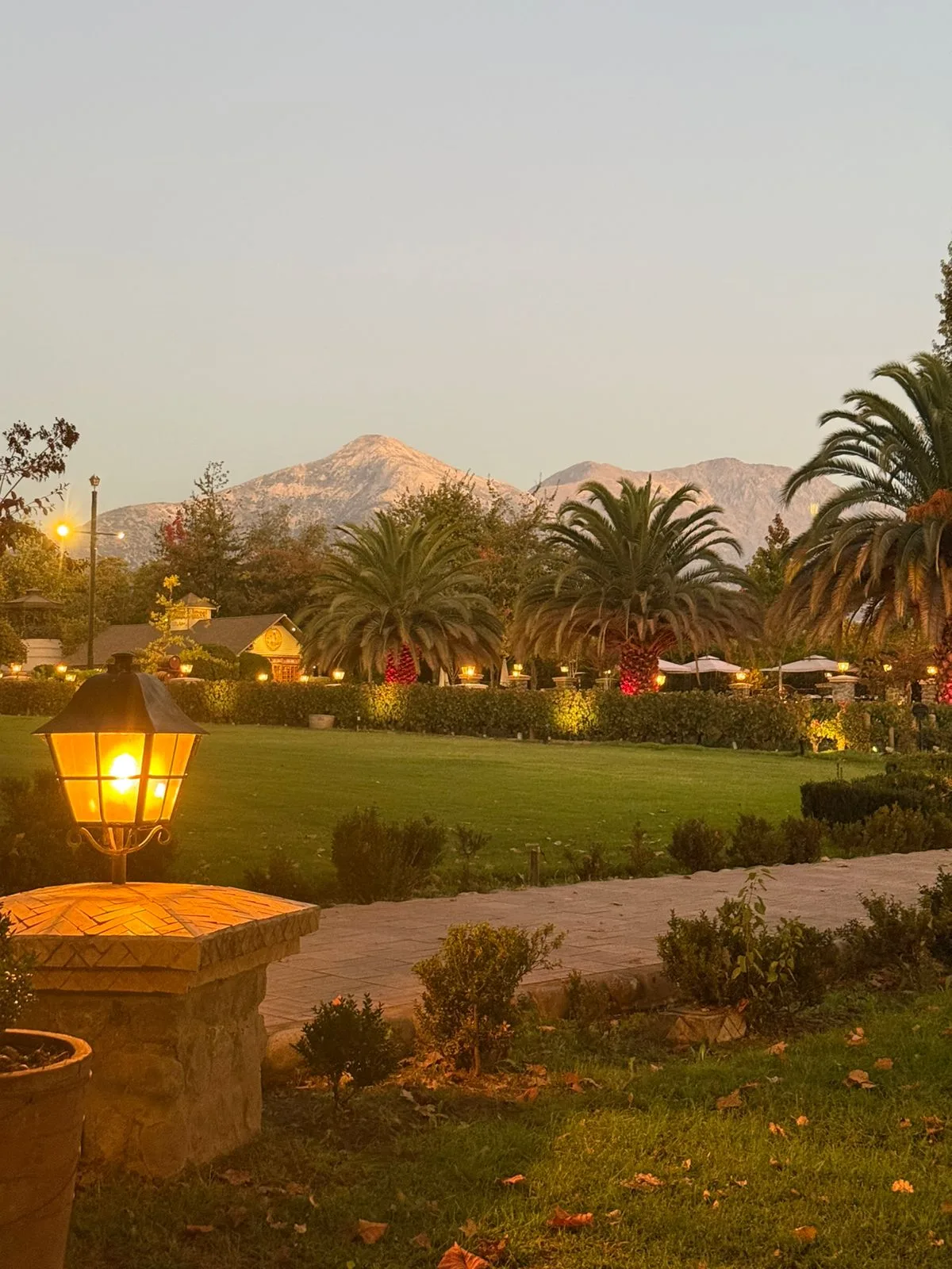 Tour clásico por el Valle del Maipo 1