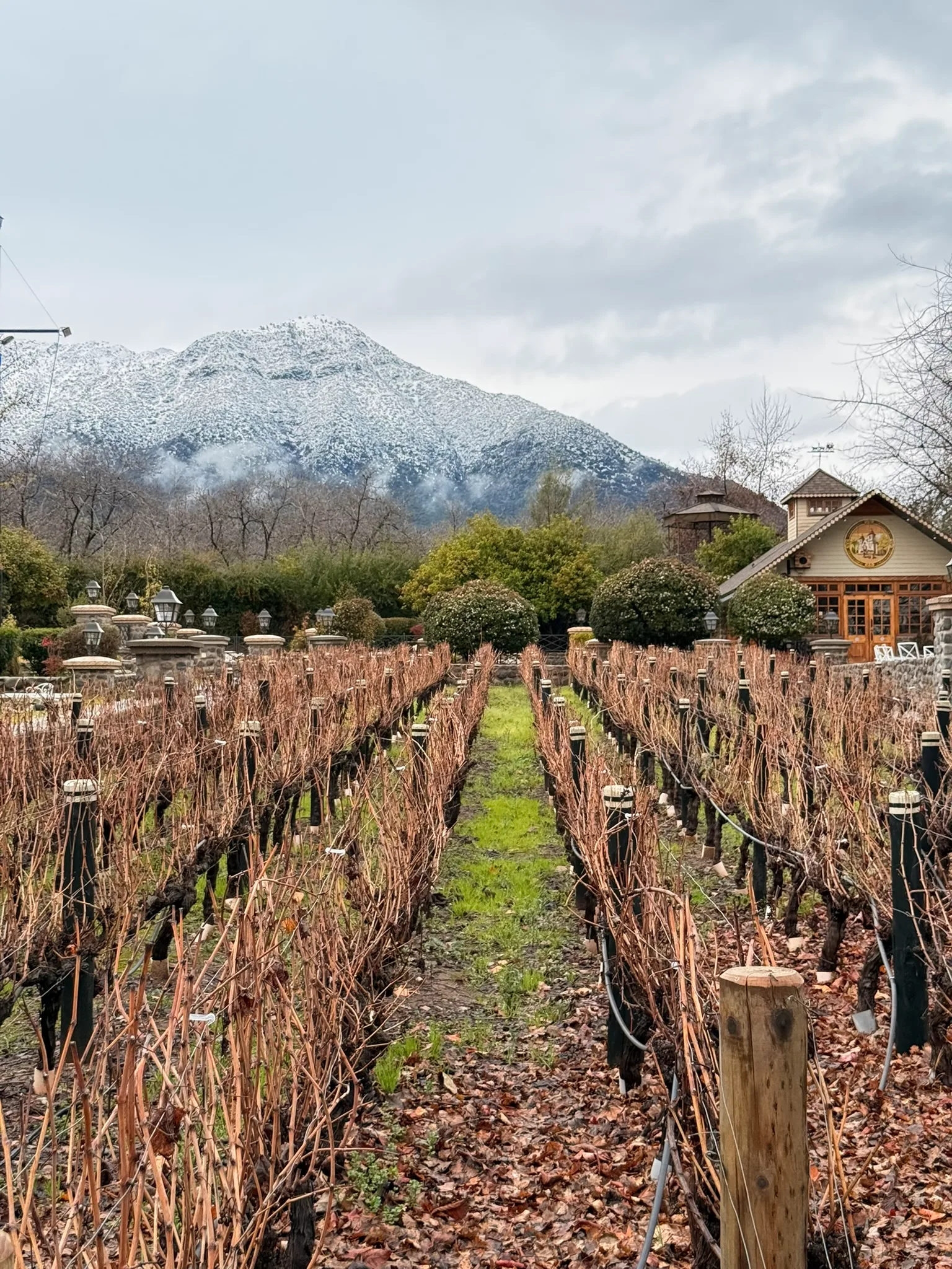 Tour clásico por el Valle del Maipo 6