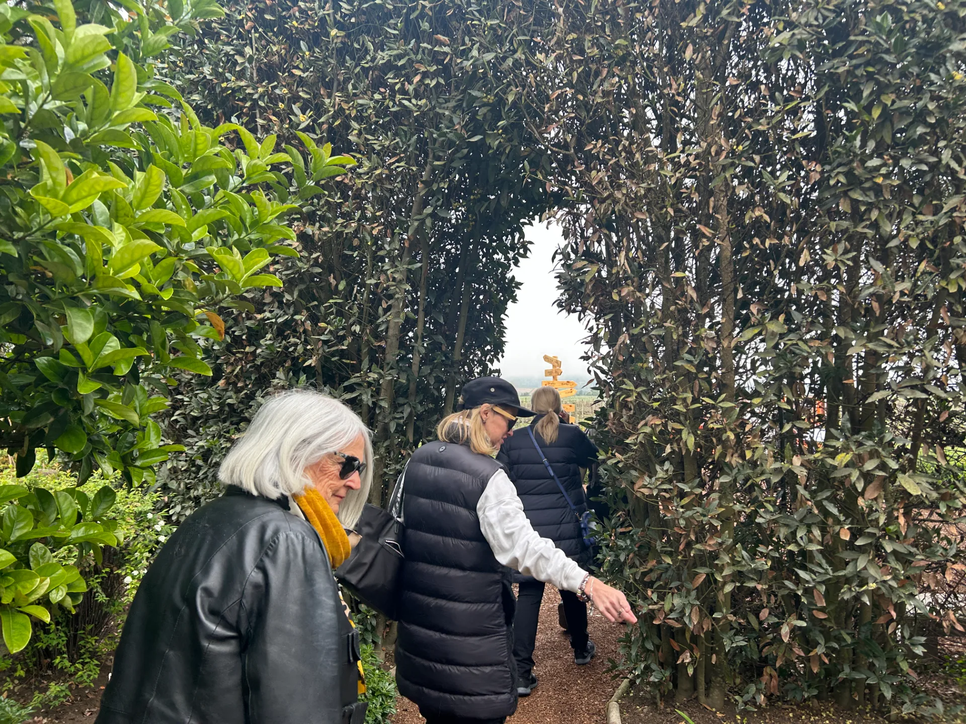 Valle de Casablanca | Premium Wine Tour with Pairing Lunch 1
