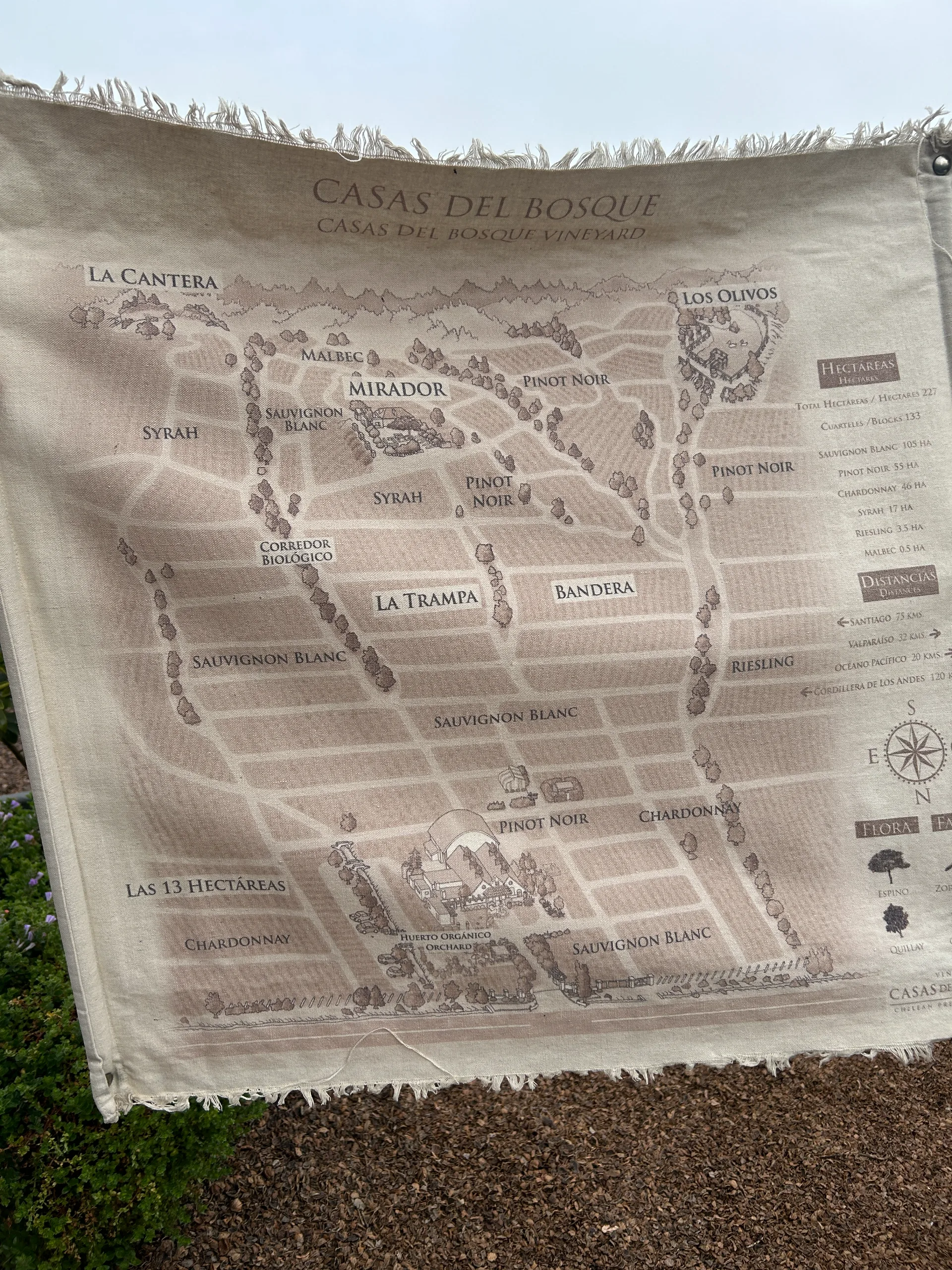 Valle de Casablanca | Premium Wine Tour with Pairing Lunch 2