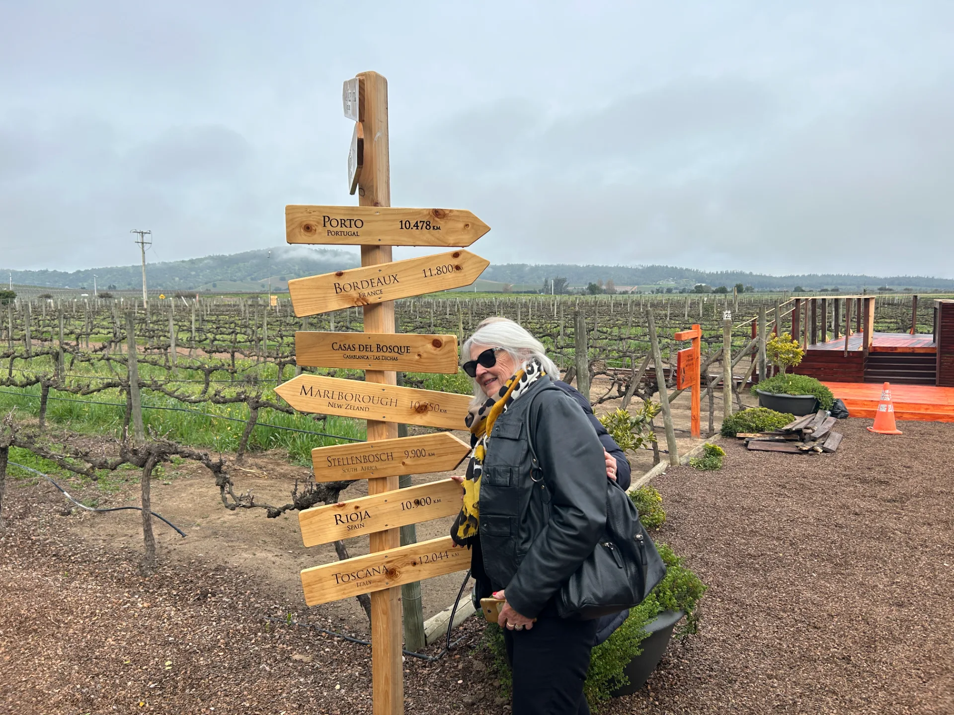 Valle de Casablanca | Premium Wine Tour with Pairing Lunch 3
