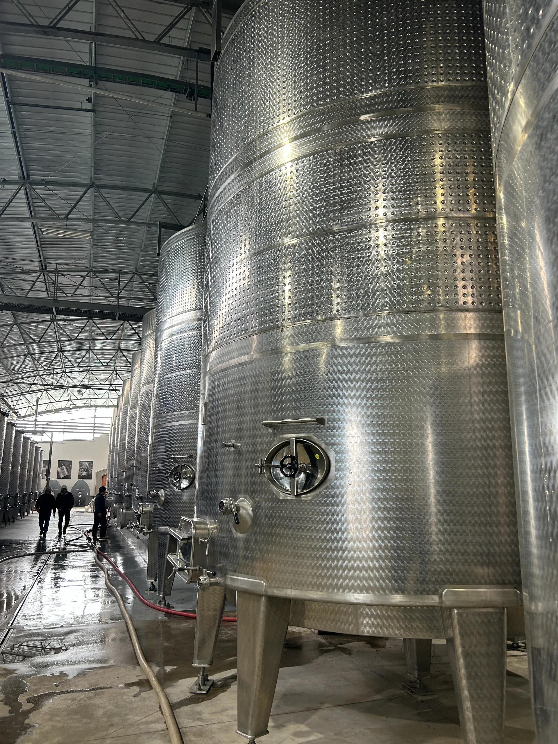 Valle de Casablanca | Premium Wine Tour with Pairing Lunch 4
