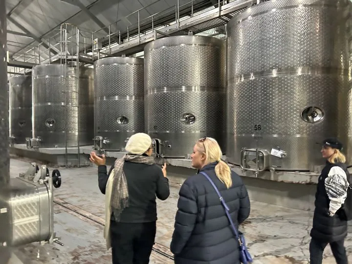 Valle de Casablanca | Premium Wine Tour with Pairing Lunch 5