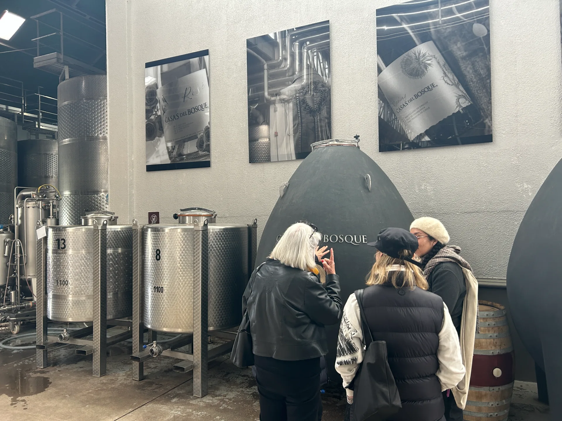 Valle de Casablanca | Premium Wine Tour with Pairing Lunch 6