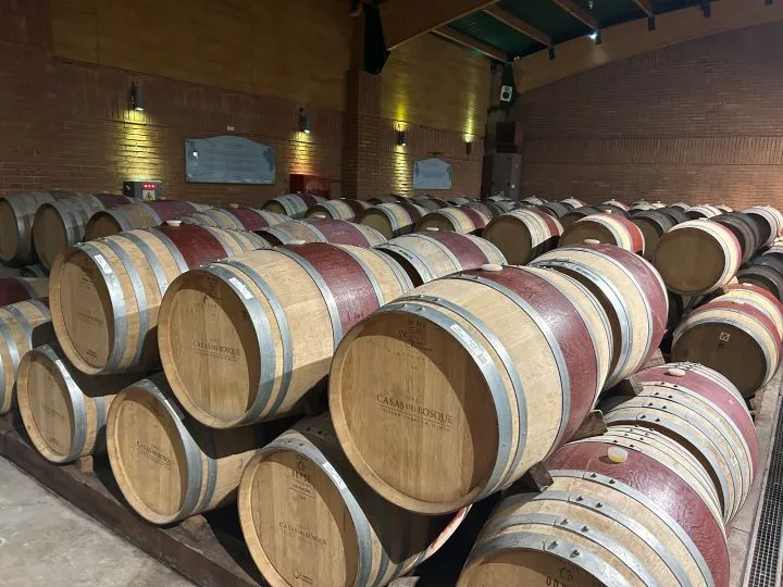 Valle de Casablanca | Premium Wine Tour with Pairing Lunch 7