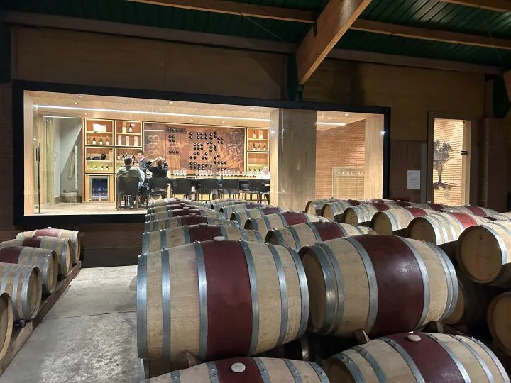 Valle de Casablanca | Premium Wine Tour with Pairing Lunch 9