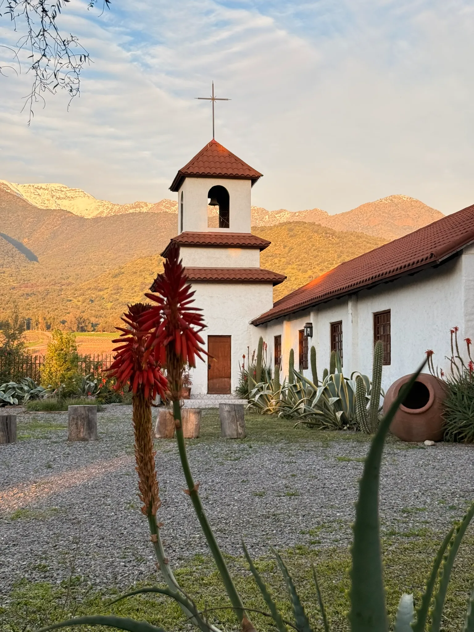 Valle del Maipo | Viña Santa Rita 3