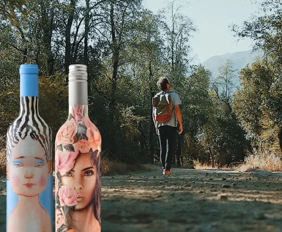 Valle del Cachapoal | Premium Wine Tour at VIK 1