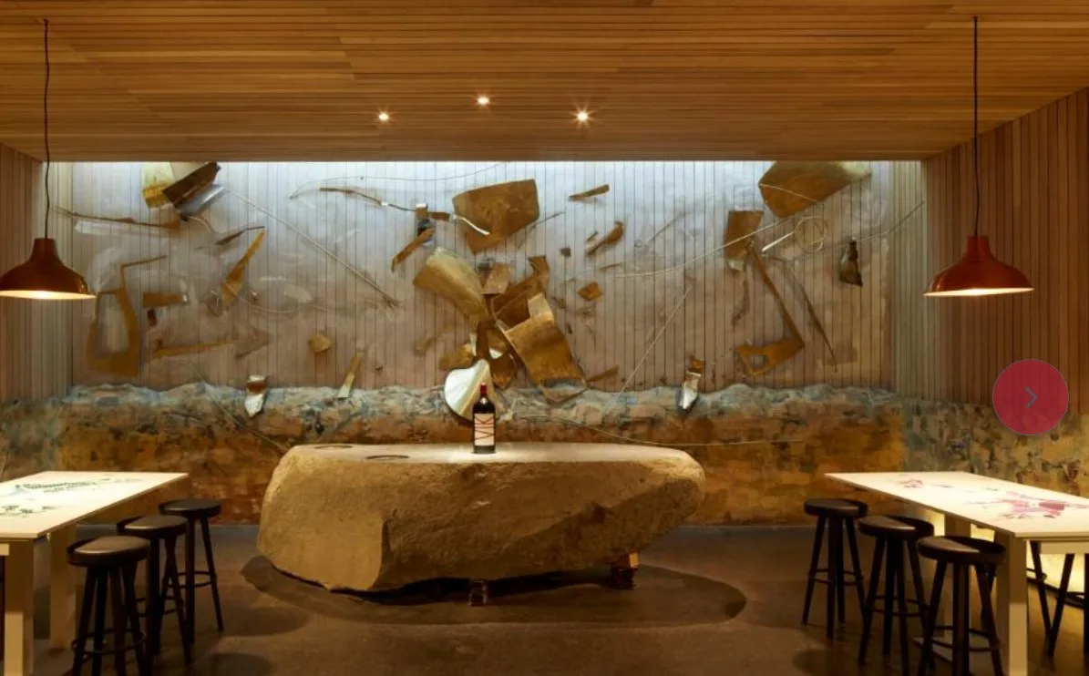 Valle del Cachapoal | Premium Wine Tour at VIK 3