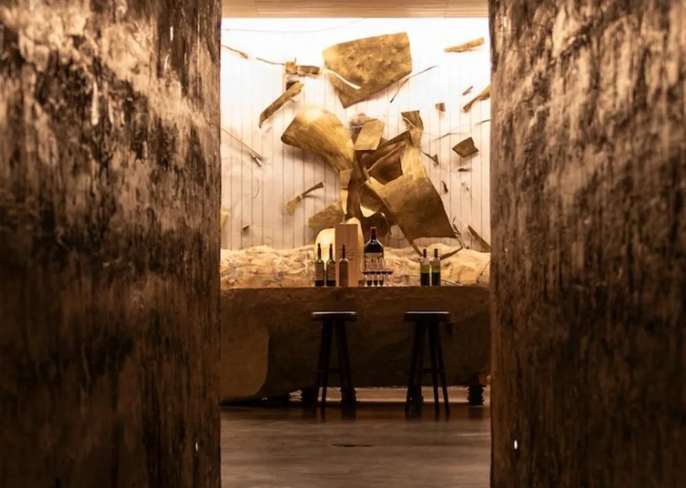 Valle del Cachapoal | Premium Wine Tour at VIK 4