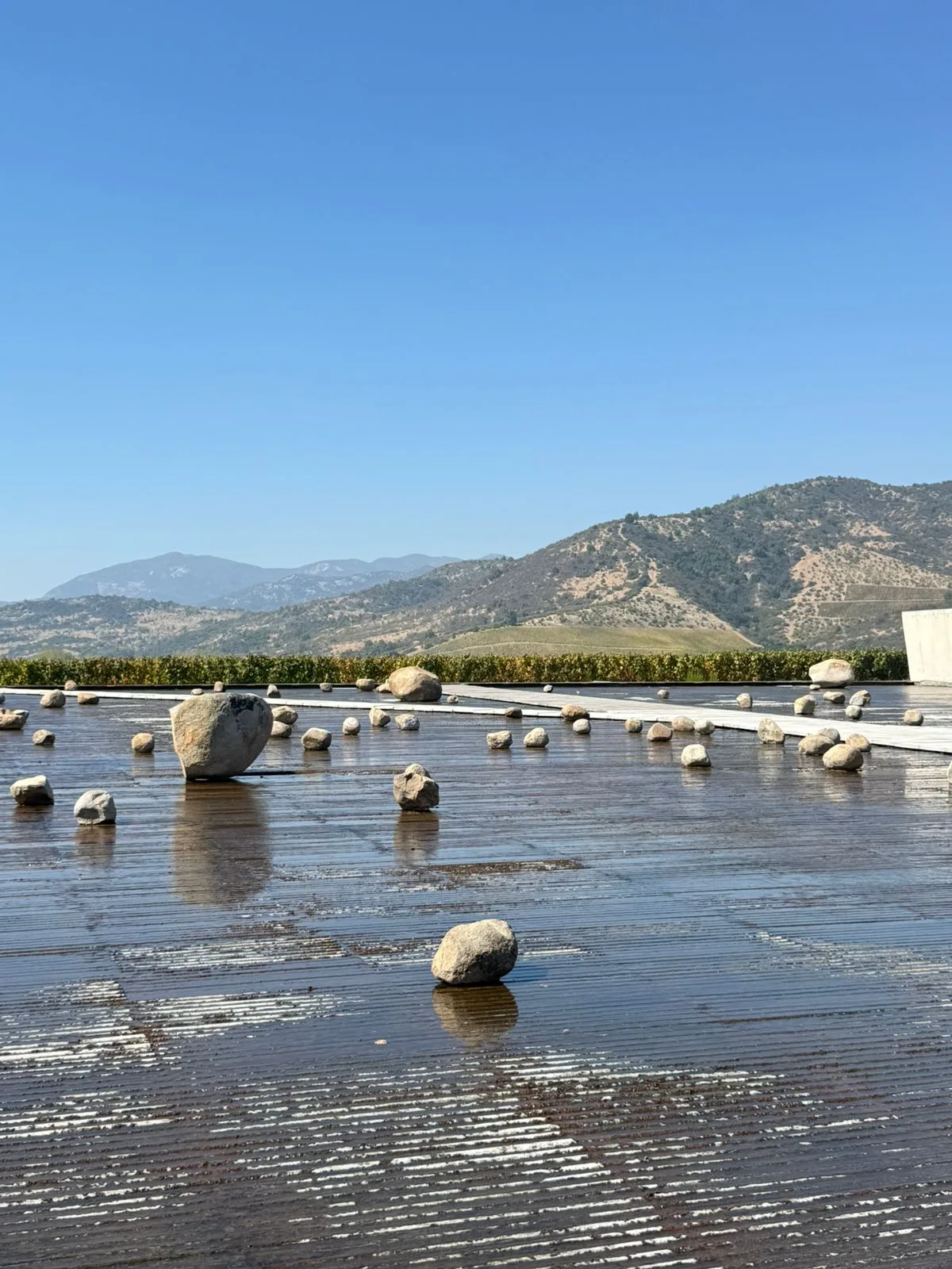 Valle del Cachapoal | Premium Wine Tour at VIK 5