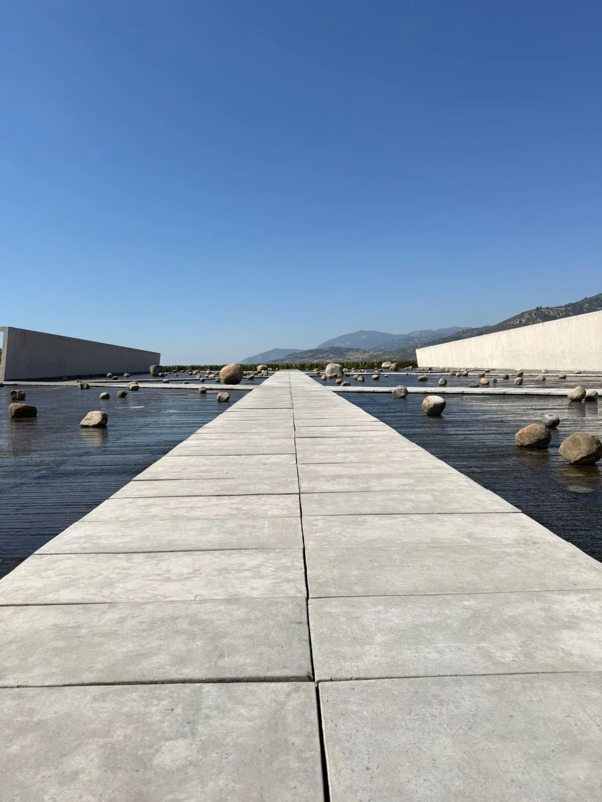 Valle del Cachapoal | Premium Wine Tour at VIK 6