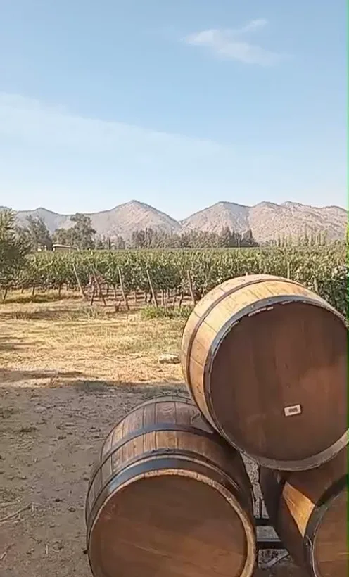Valle del Maipo | Viña Santa Rita 8
