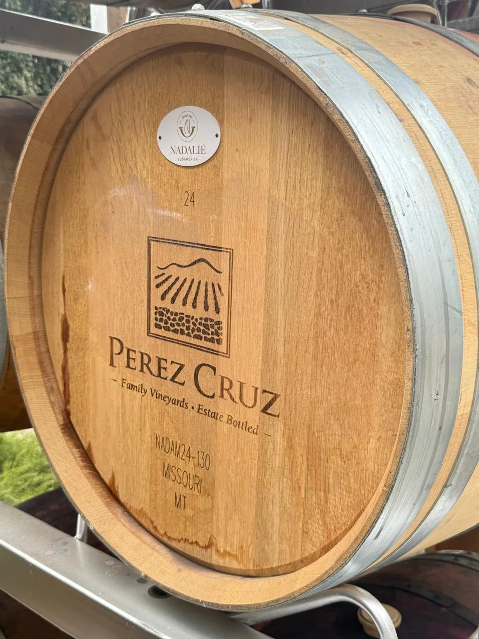 Valle del Maipo | Viña Perez Cruz 4
