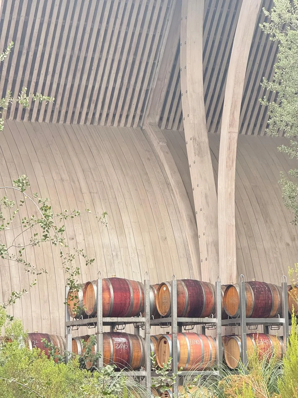 Valle del Maipo | Viña Perez Cruz 11