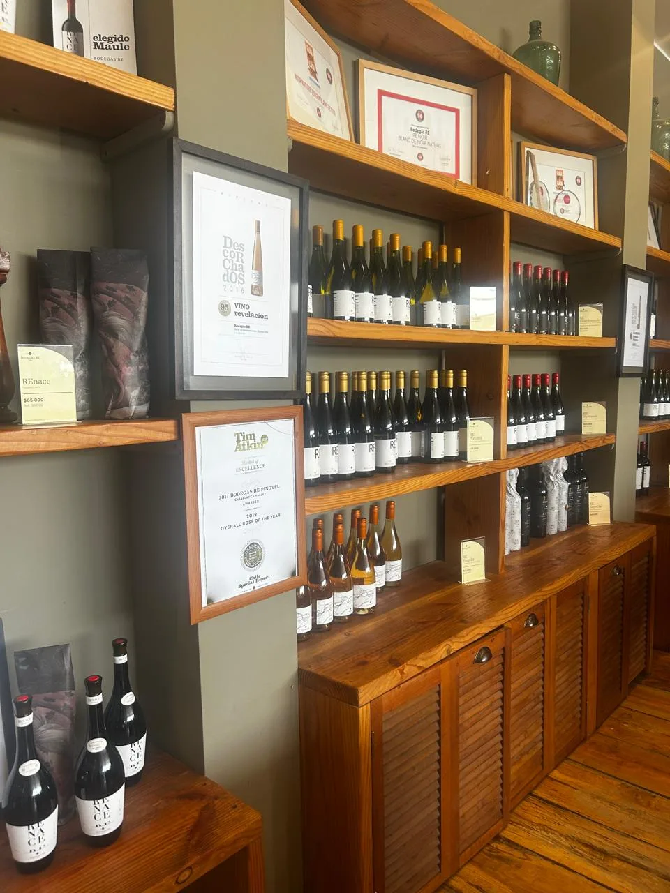 Valle de Casablanca | Bodega Re y el Origen de Casablanca 4