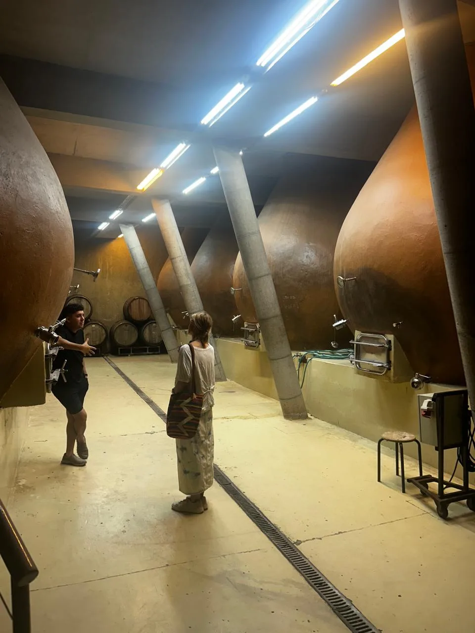Valle de Casablanca | Bodega Re y el Origen de Casablanca 5