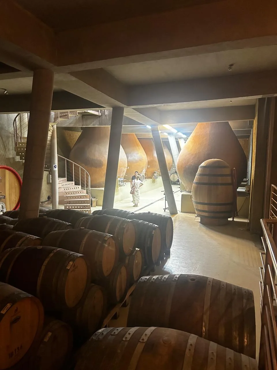 Valle de Casablanca | Bodega Re y el Origen de Casablanca 7