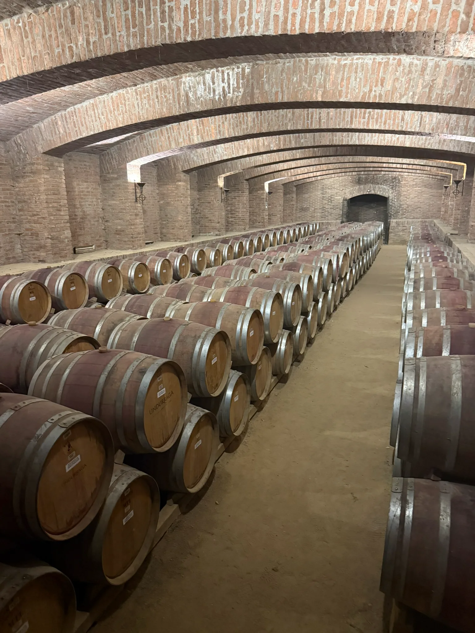 Isla de Maipo | Undurraga Classic Tour 1