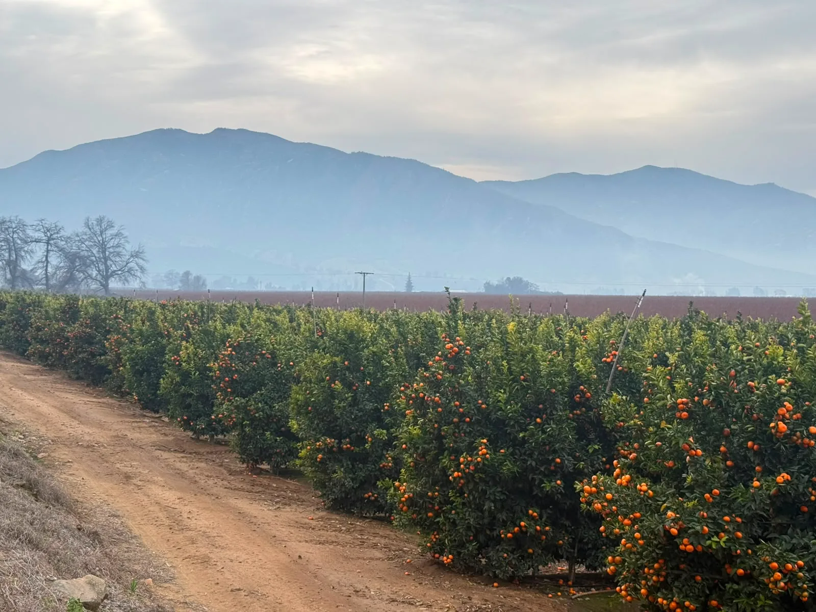 Colchagua Valley | Montes Wines The origin of chilean Premium Wines 4