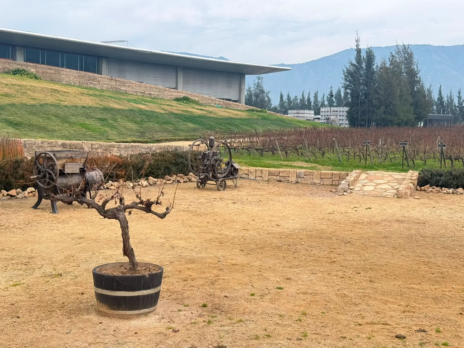 Colchagua Valley | Montes Wines The origin of chilean Premium Wines 6