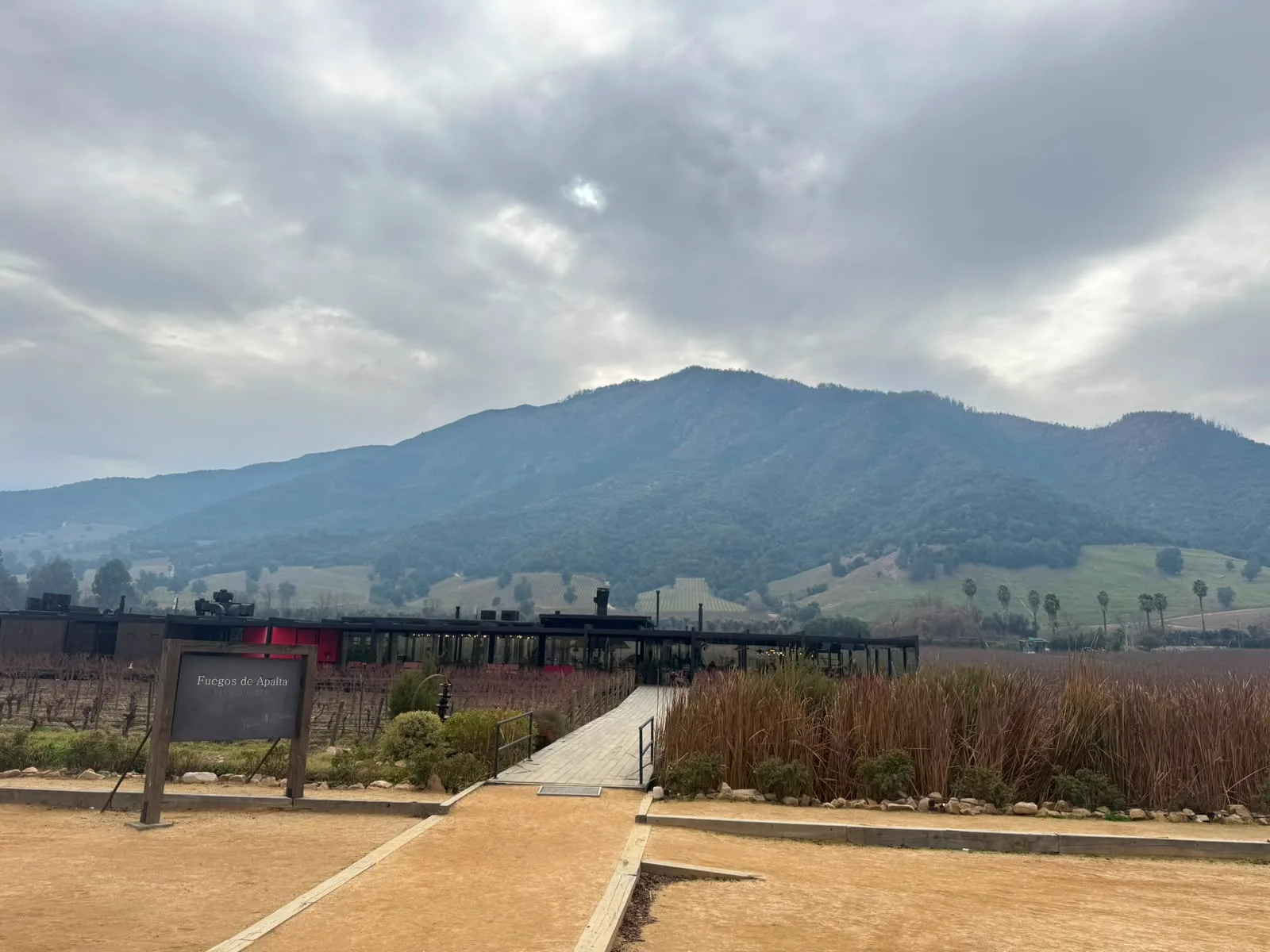 Colchagua Valley | Montes Wines The origin of chilean Premium Wines 9