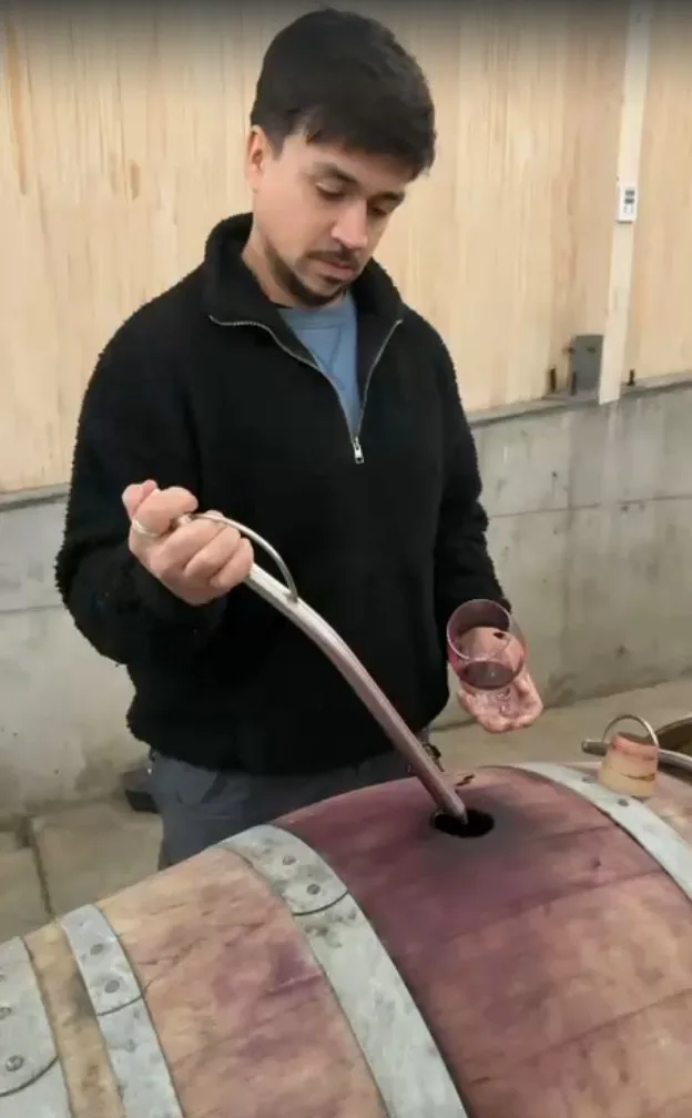 Valle de Casablanca | Elegant Kingston Family Wines 9