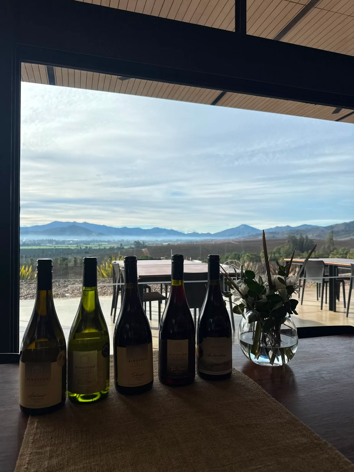 Valle de Casablanca | Elegant Kingston Family Wines 10