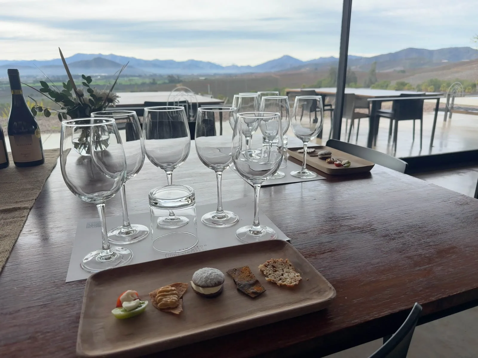 Valle de Casablanca | Elegant Kingston Family Wines 11