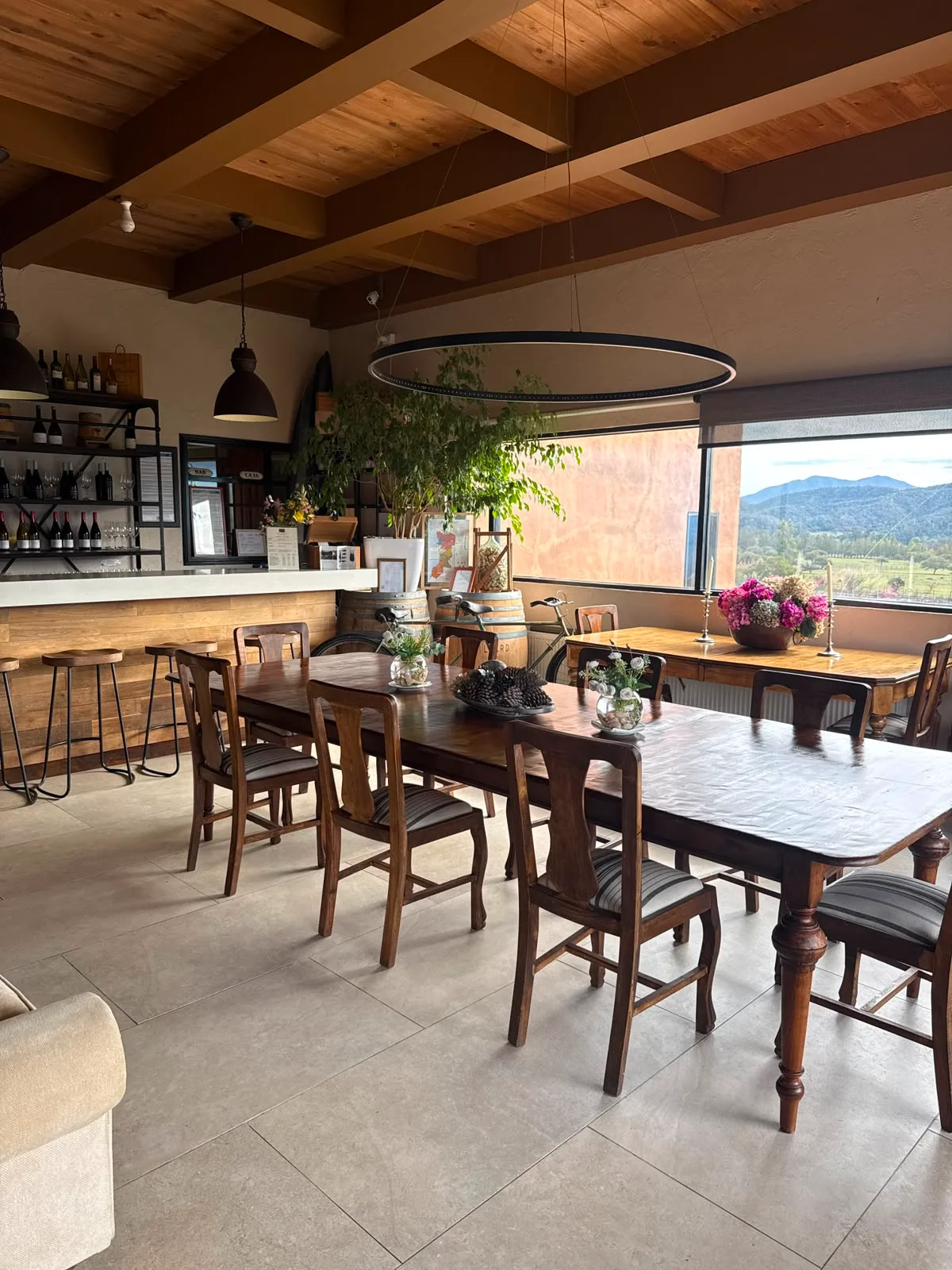 Valle de Casablanca | Encanto en Villard Fine Wines 6