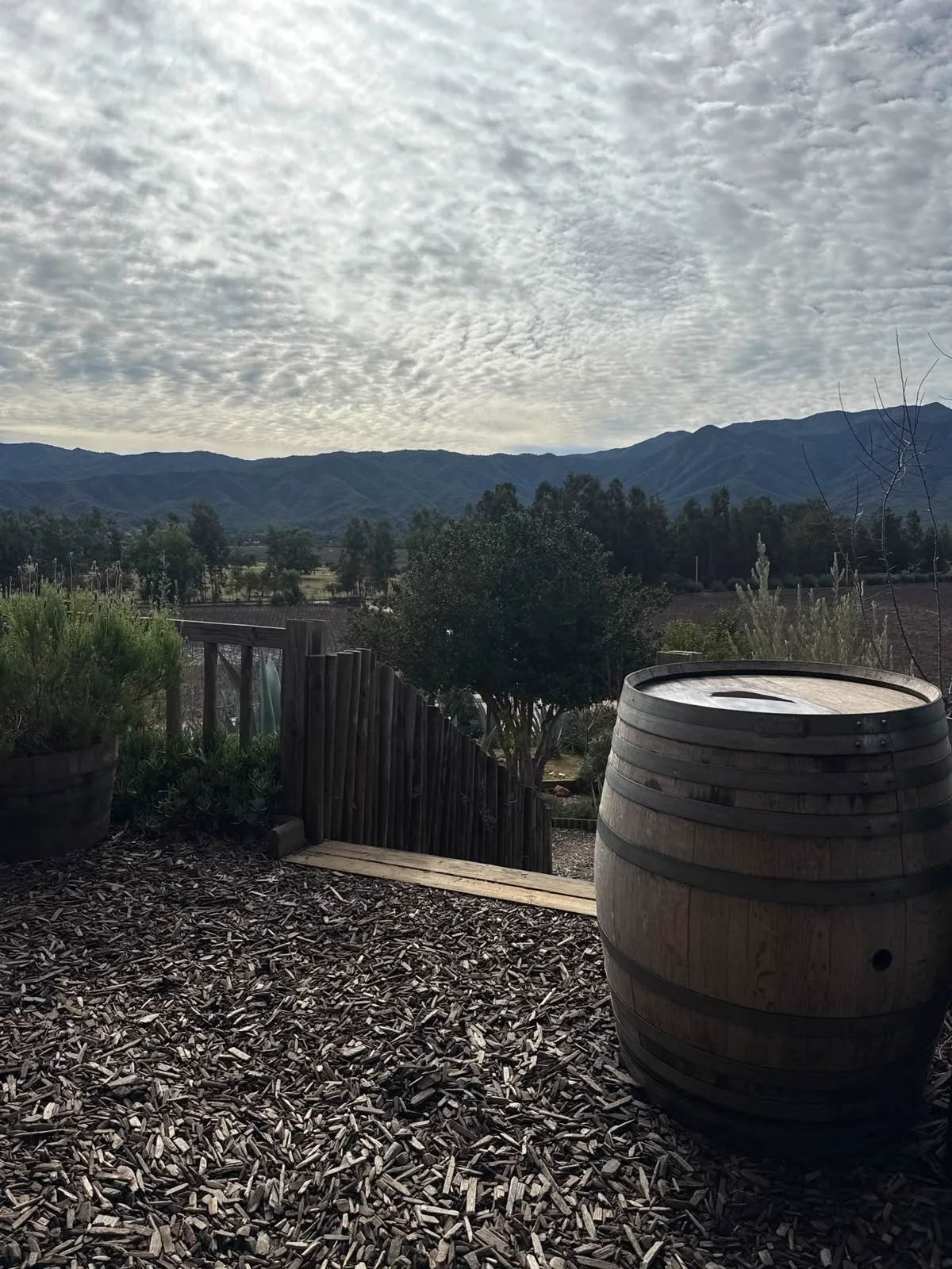 Valle de Casablanca | Encanto en Villard Fine Wines 7