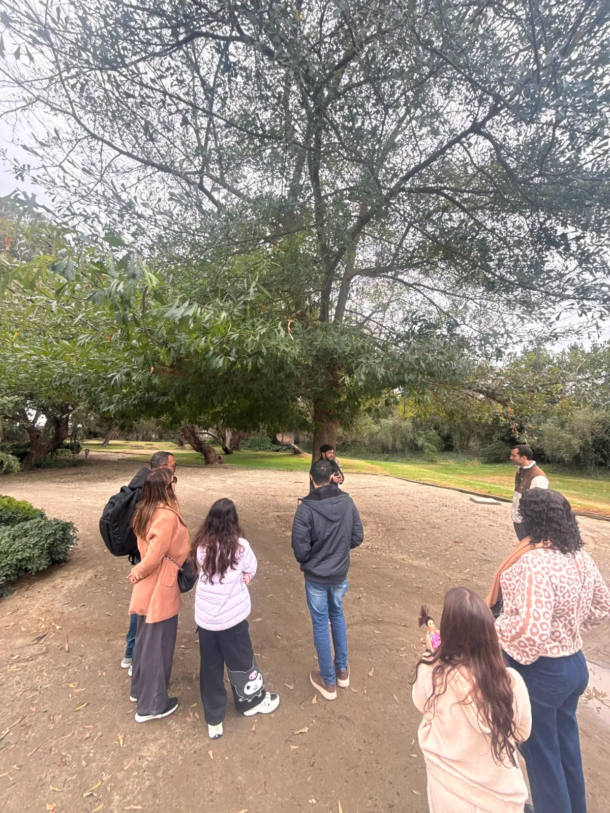 Valle de Casablanca | Emiliana – Tour orgánico y biodinámico 1