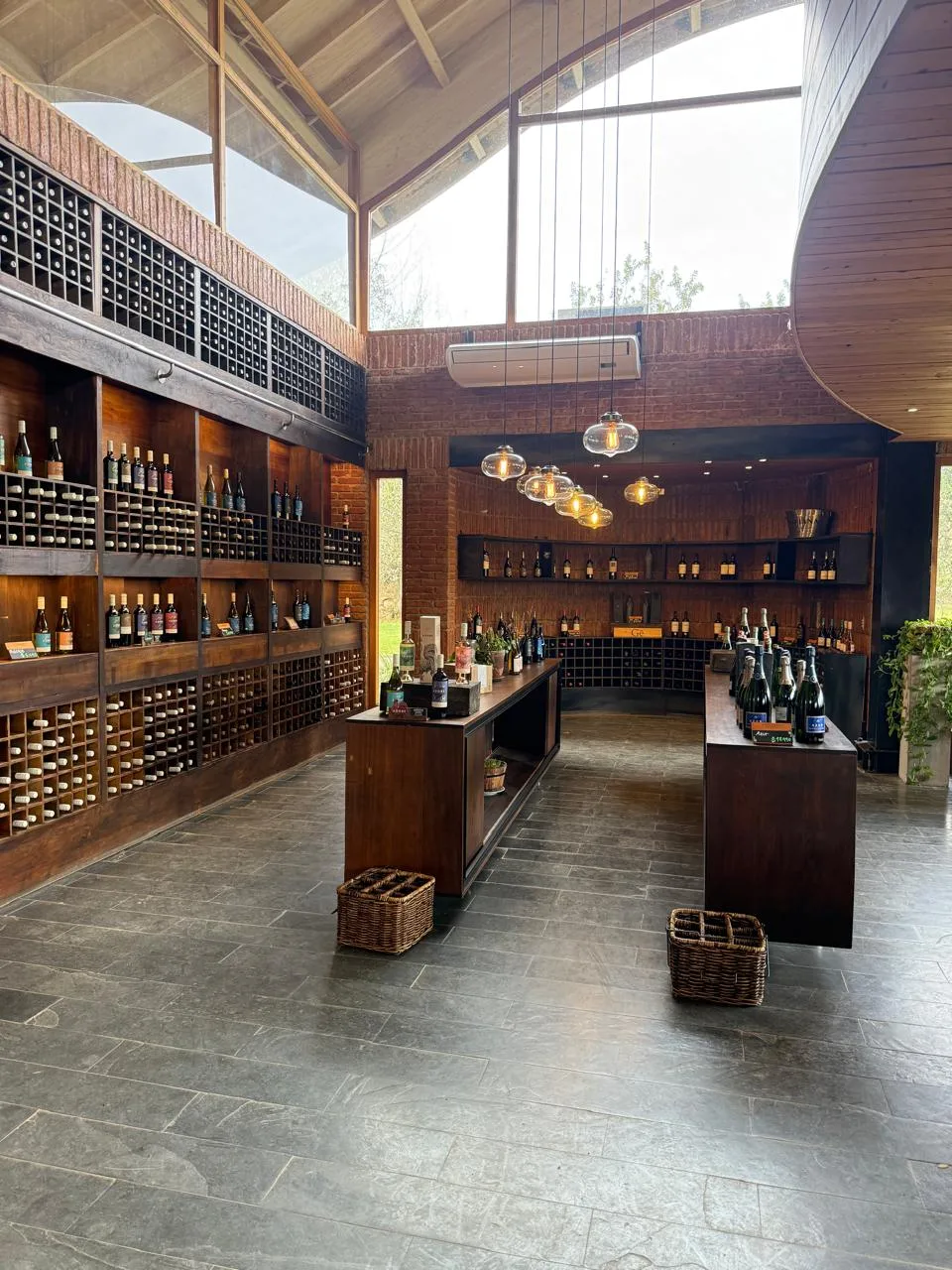Valle de Casablanca | Emiliana – Tour orgánico y biodinámico 2