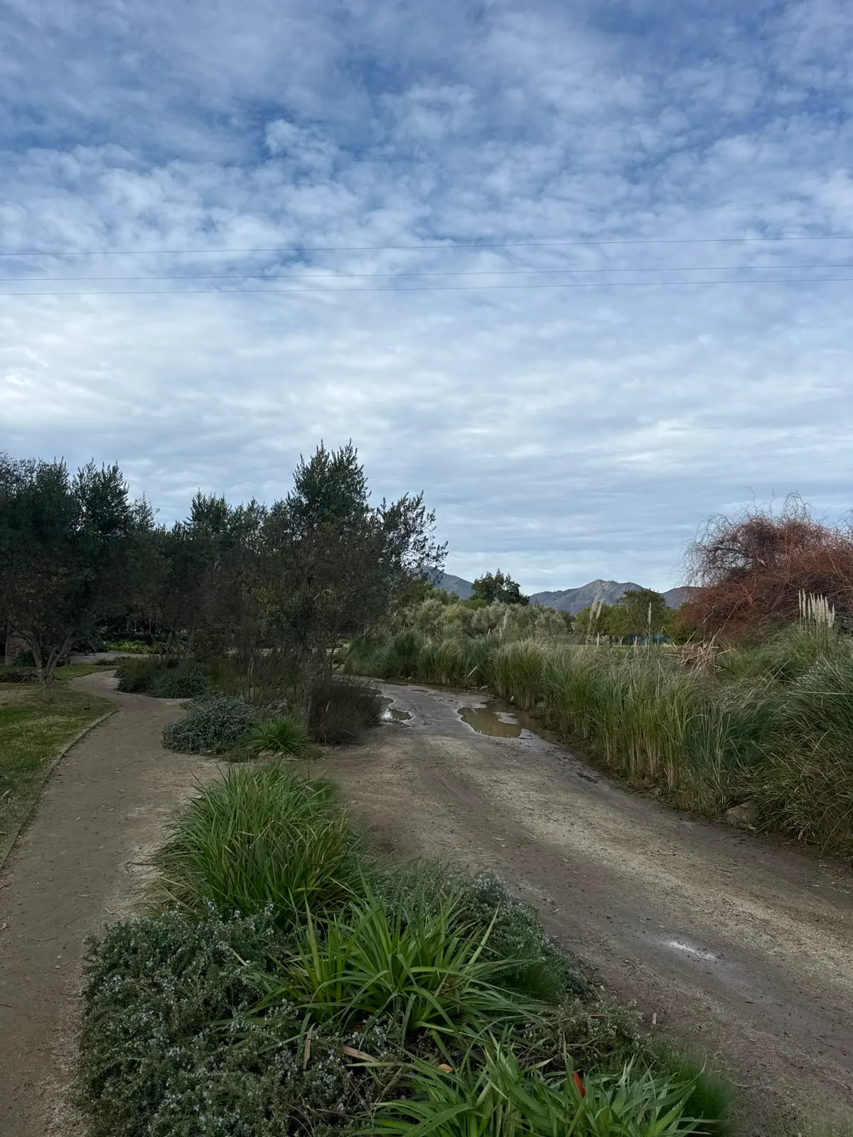Valle de Casablanca | Emiliana – Tour orgánico y biodinámico 3