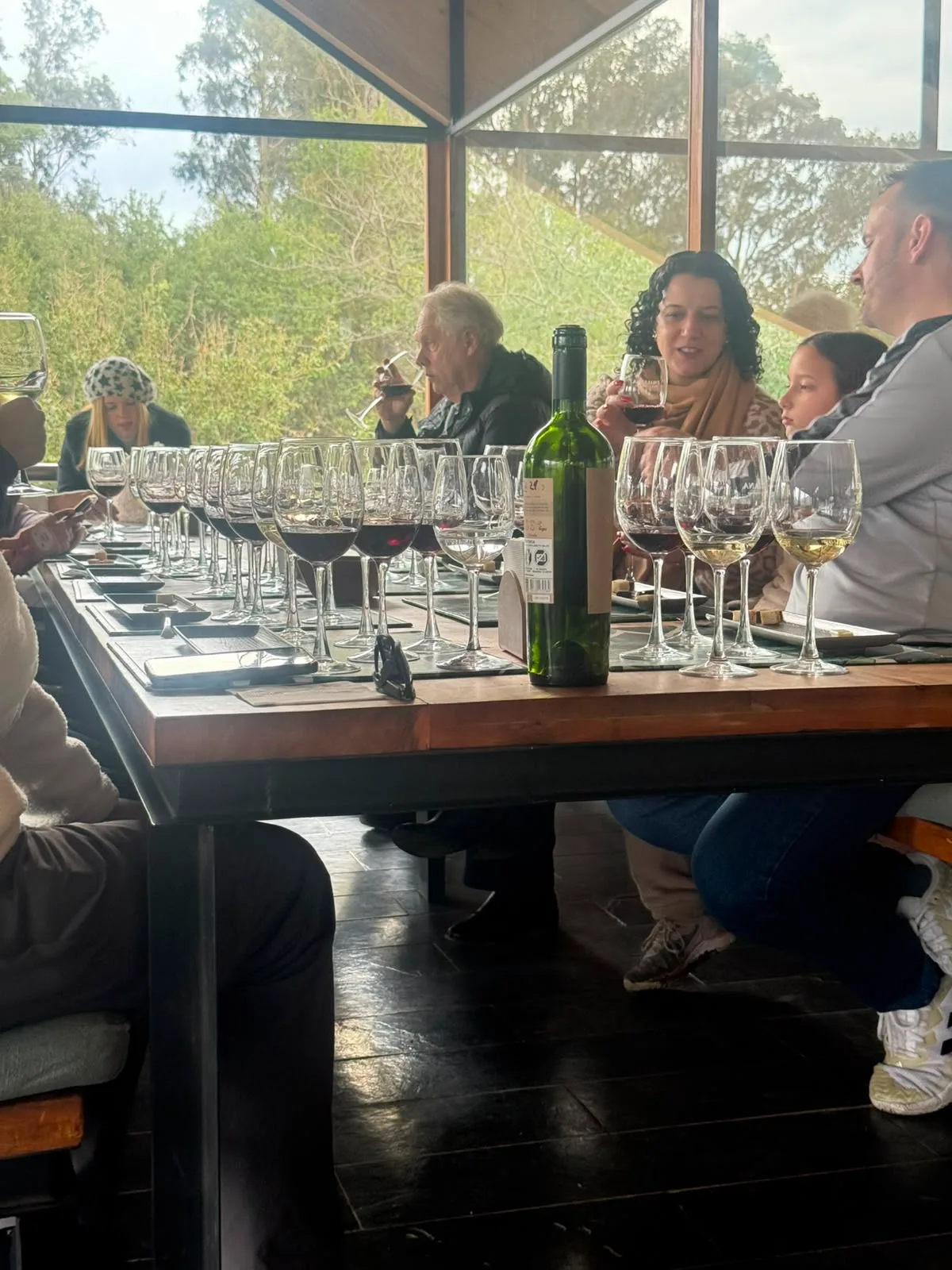 Valle de Casablanca | Emiliana – Tour orgánico y biodinámico 5