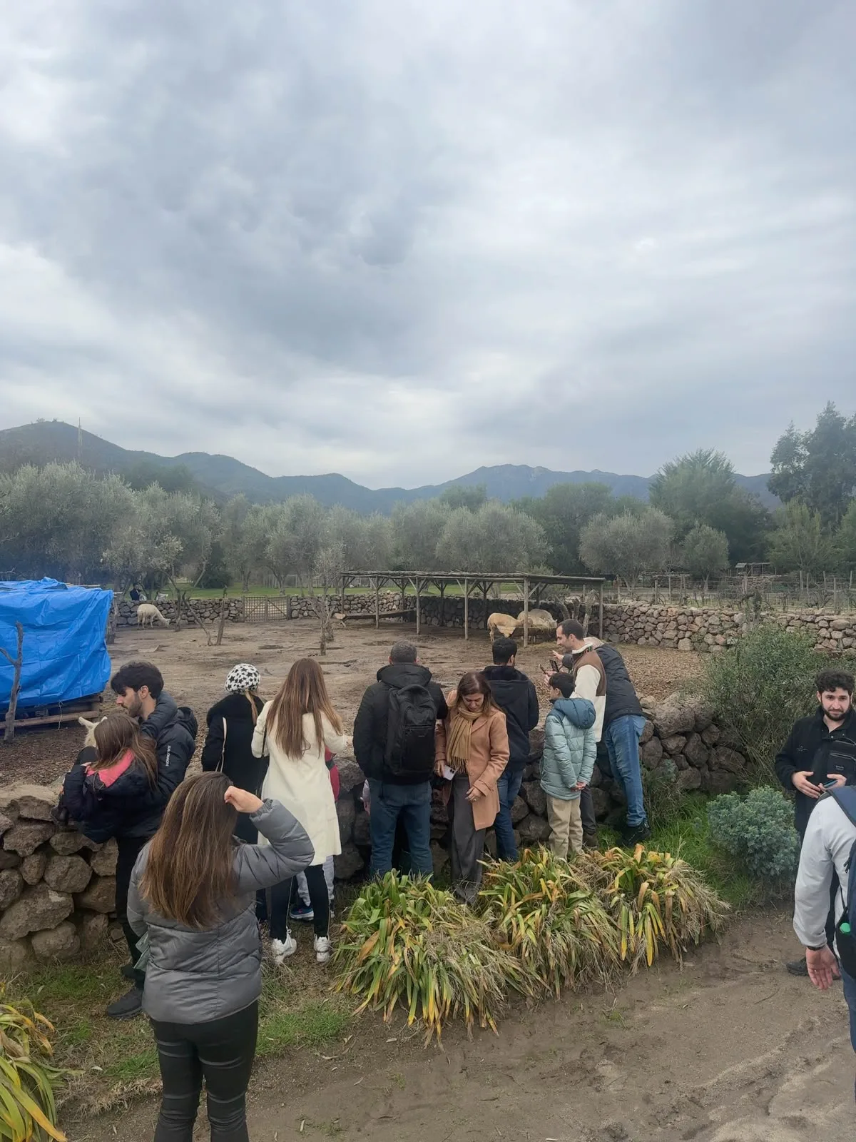 Valle de Casablanca | Emiliana – Tour orgánico y biodinámico 6