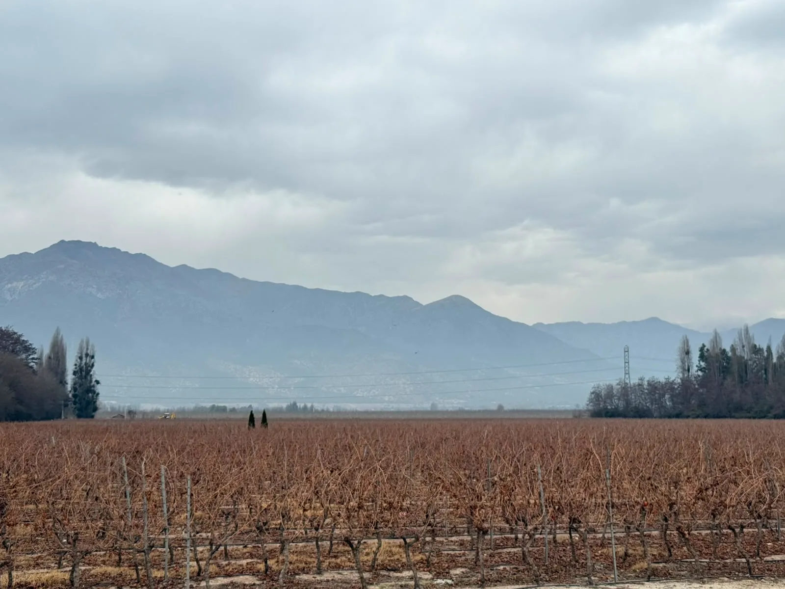 Valle del Maipo | Viña Casa Fevre 3