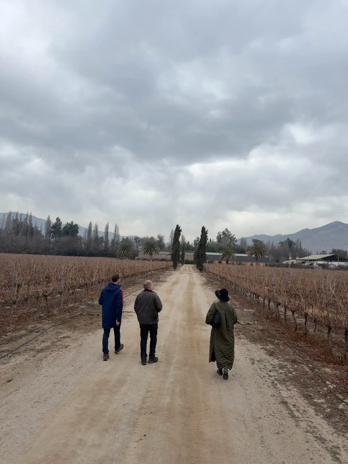 Valle del Maipo | Viña Casa Fevre 7