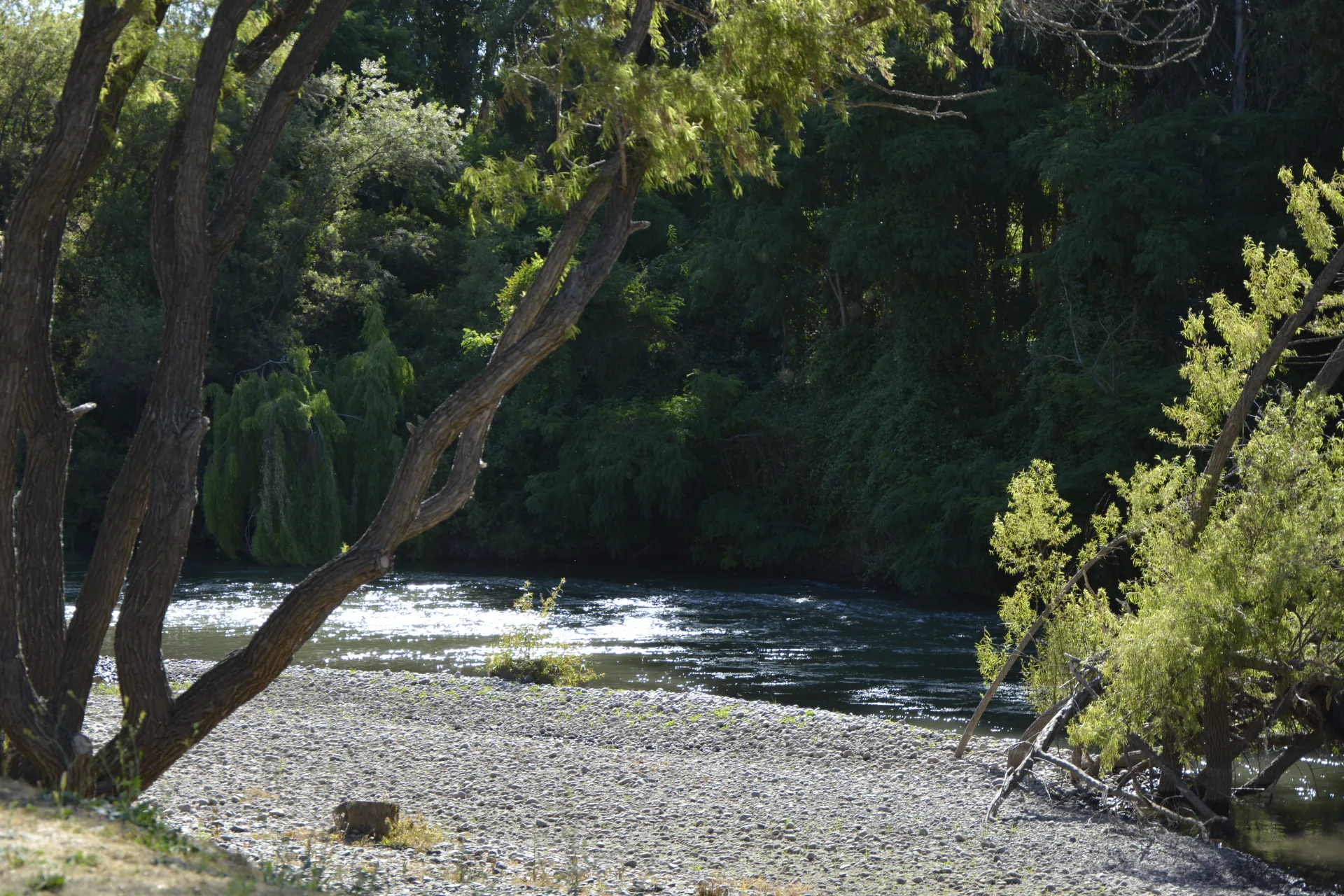 Valle de Colchagua | Viña Maquis 4