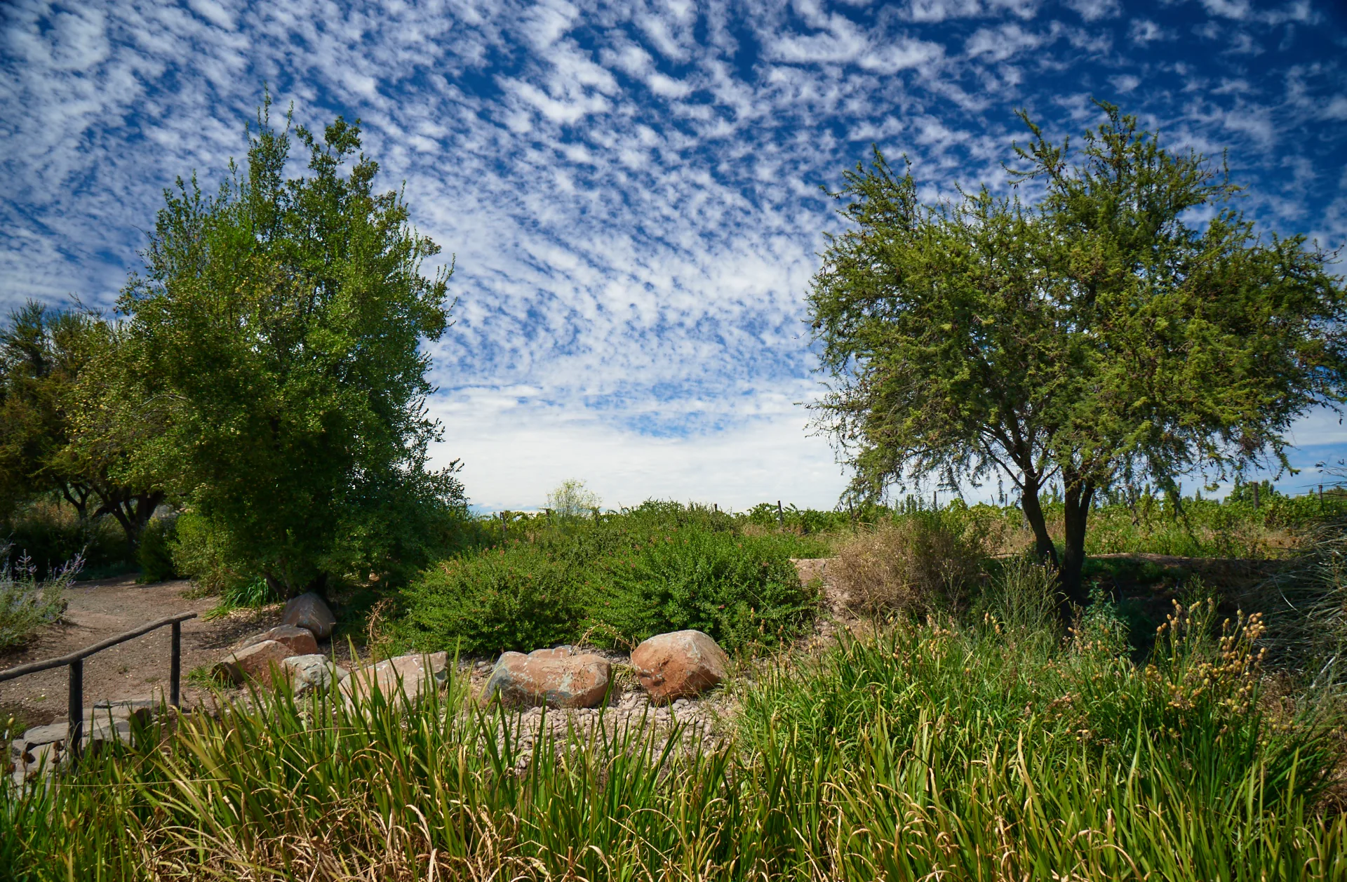 Valle de Colchagua | Viña Maquis 5