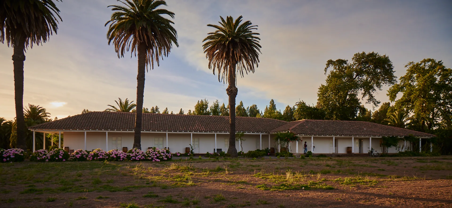 Valle de Colchagua | Viña Maquis 8