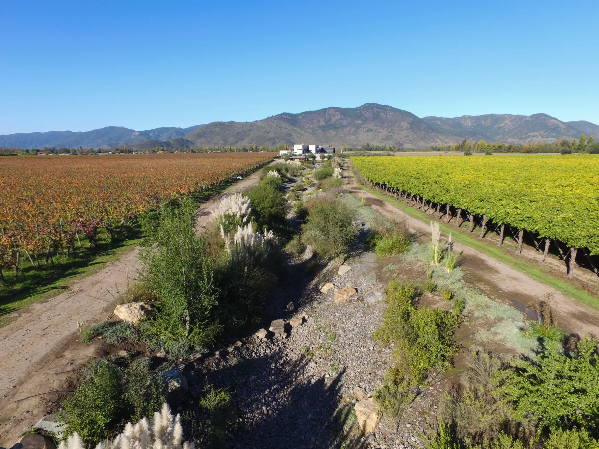 Valle de Colchagua | Viña Maquis 10