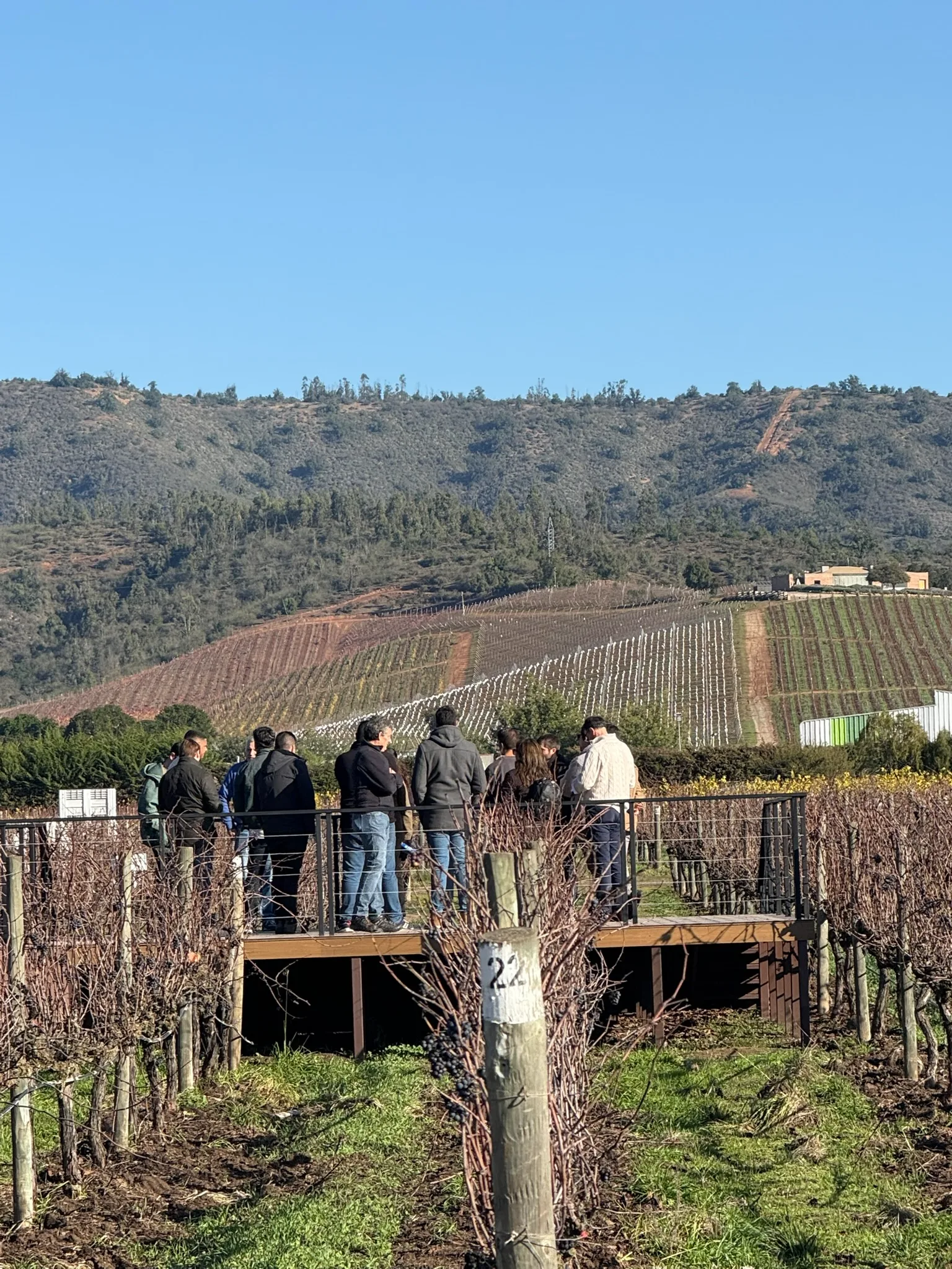 Valle de Casablanca | Premium Wine Tour with Pairing Lunch