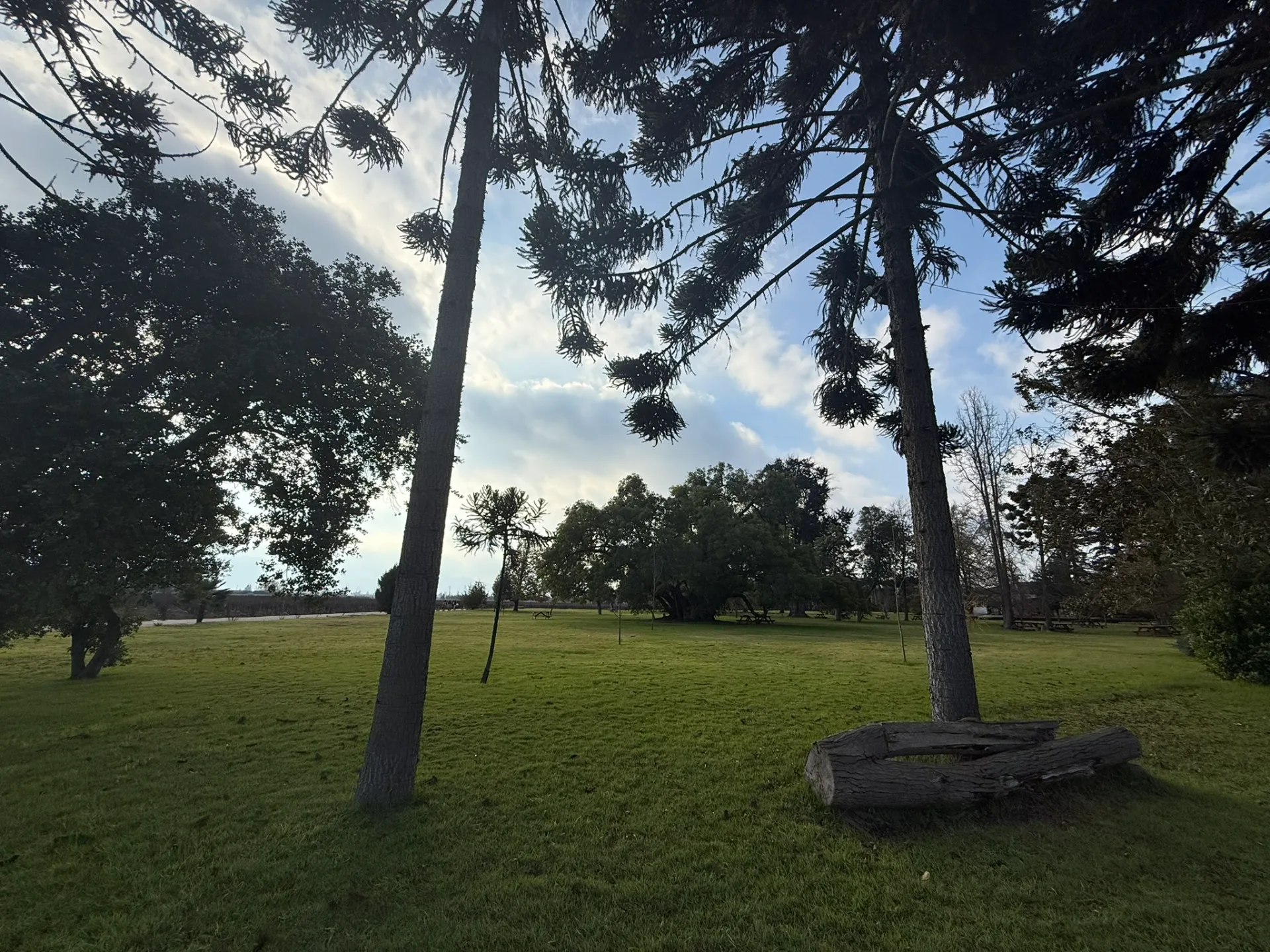 Isla de Maipo | Undurraga Classic Tour