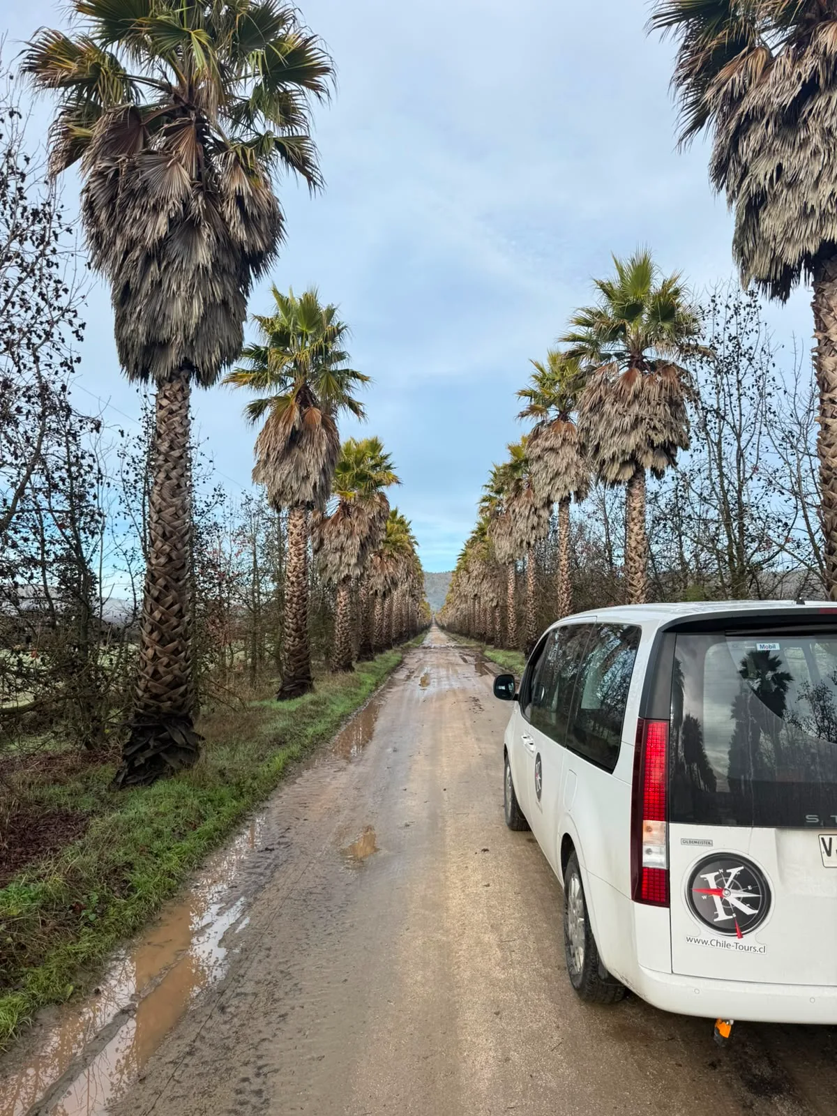 Valle de Casablanca | Elegant Kingston Family Wines