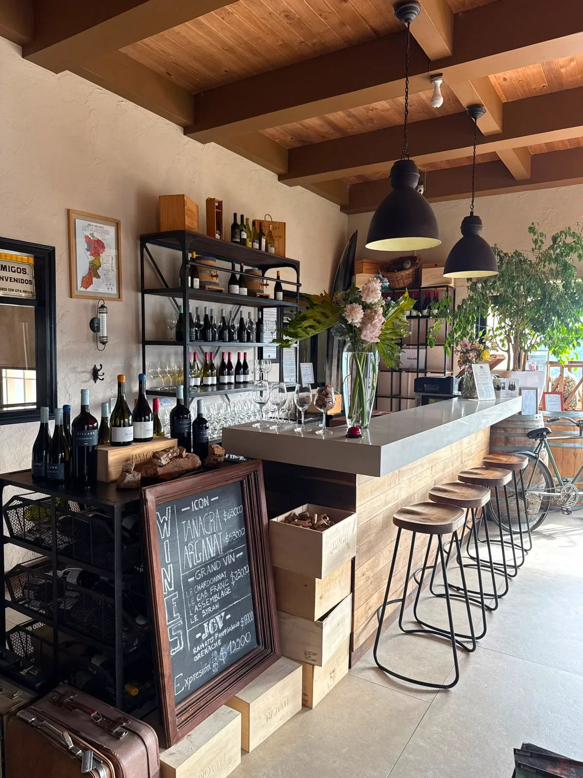 Valle de Casablanca | Encanto en Villard Fine Wines