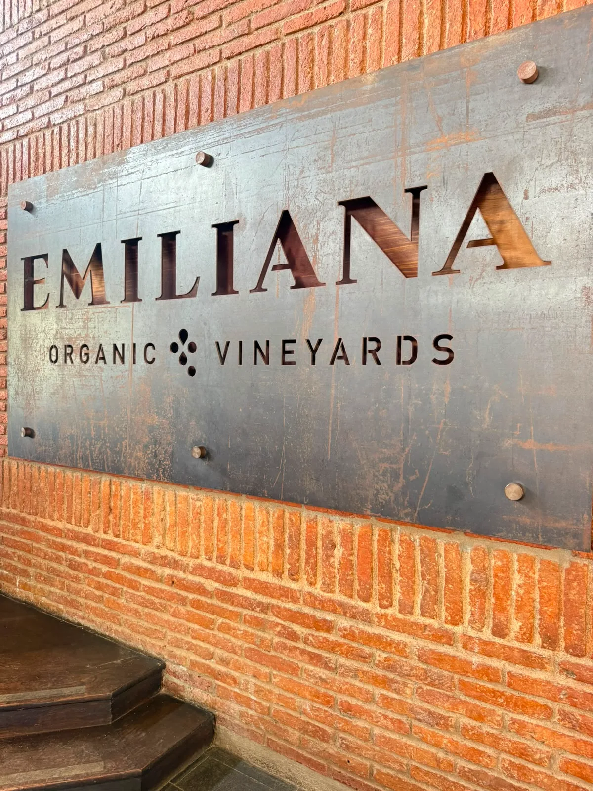Valle de Casablanca | Emiliana – Tour orgánico y biodinámico