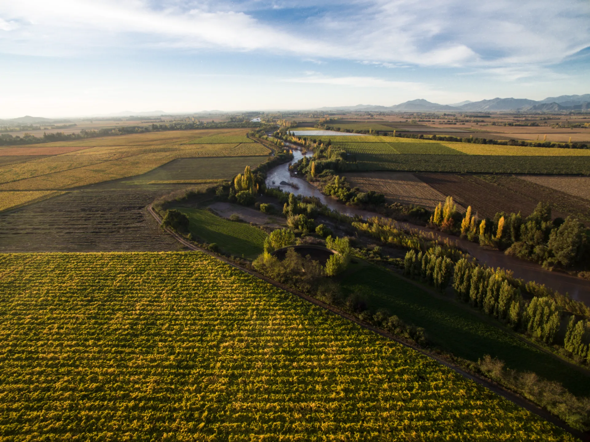 Valle de Colchagua | Viña Maquis